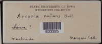 Image Associated With the Occurence